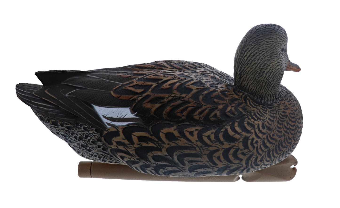 Avian X Topflight Gadwall Decoys Perfectly Replicated Late Season Gray Ducks, Weight Forward Swim Keel, Realistic Movement