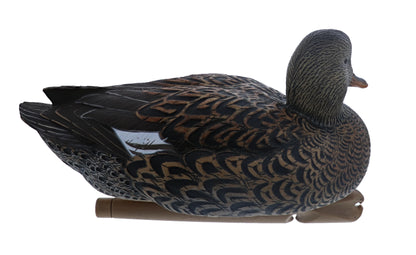 Avian X Topflight Gadwall Decoys Perfectly Replicated Late Season Gray Ducks, Weight Forward Swim Keel, Realistic Movement