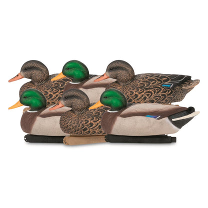 Hunter Series Mallard Duck Decoys, 6 Pack
