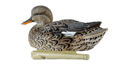 Avian X Topflight Gadwall Decoys Perfectly Replicated Late Season Gray Ducks, Weight Forward Swim Keel, Realistic Movement