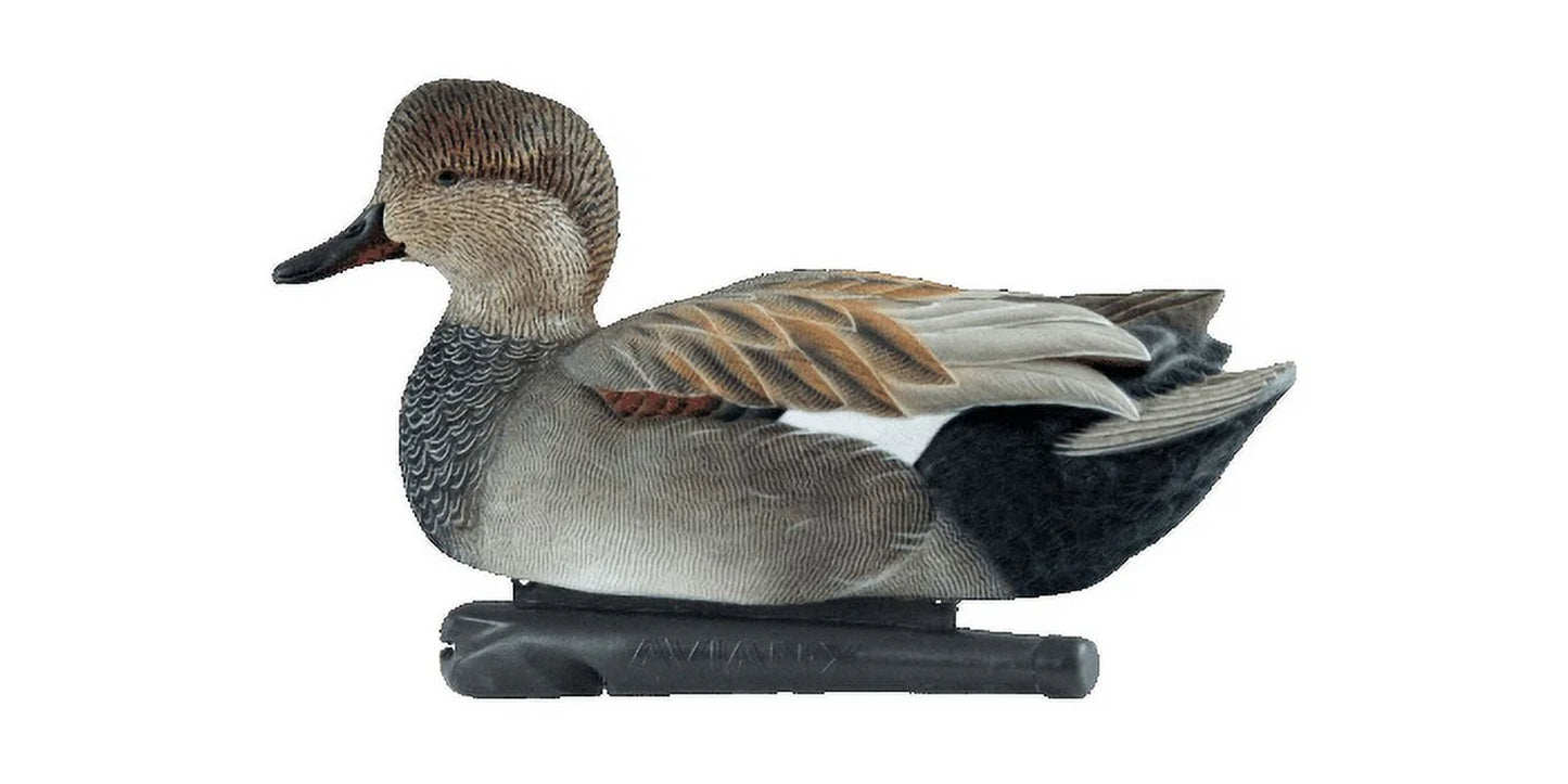 Avian X Topflight Gadwall Decoys Perfectly Replicated Late Season Gray Ducks, Weight Forward Swim Keel, Realistic Movement