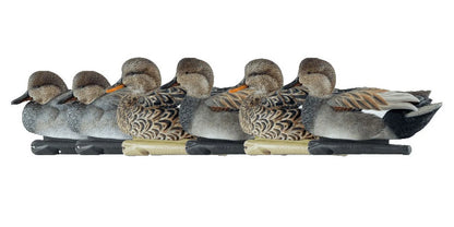Avian X Topflight Gadwall Decoys Perfectly Replicated Late Season Gray Ducks, Weight Forward Swim Keel, Realistic Movement