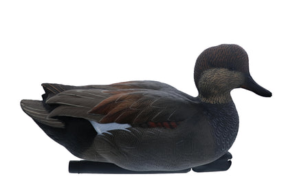 Avian X Topflight Gadwall Decoys Perfectly Replicated Late Season Gray Ducks, Weight Forward Swim Keel, Realistic Movement