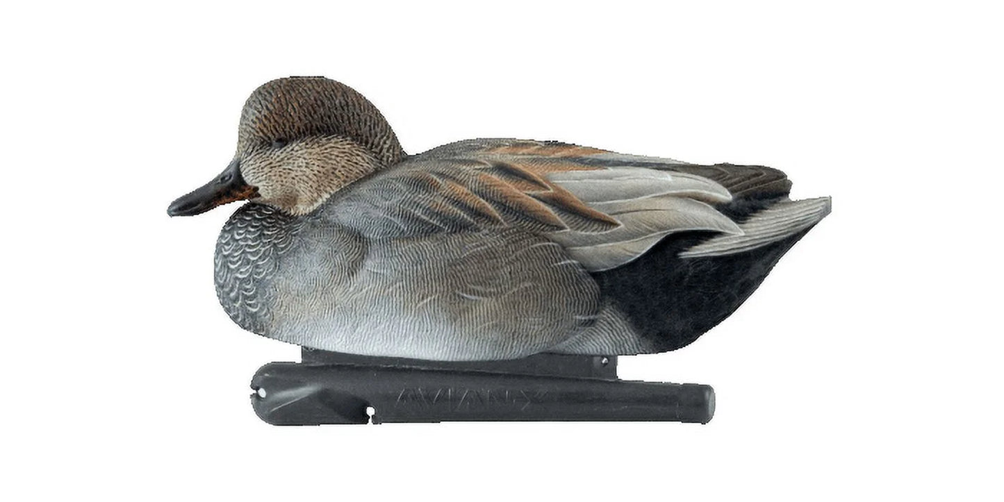 Avian X Topflight Gadwall Decoys Perfectly Replicated Late Season Gray Ducks, Weight Forward Swim Keel, Realistic Movement